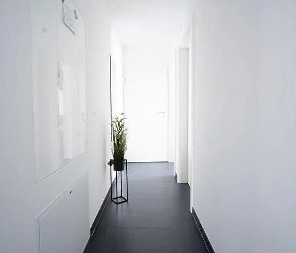 Blauer Stein - Echo Wh02 Pulheim